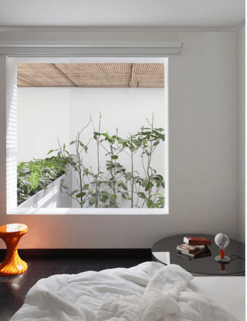 Guilherme Torres (5)