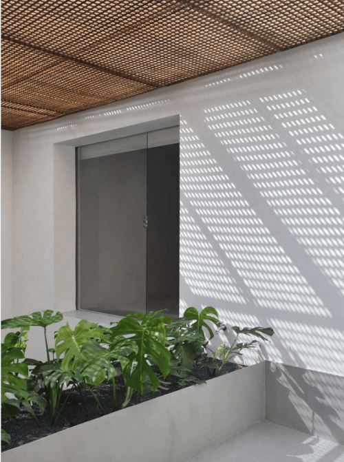 Guilherme Torres (6)