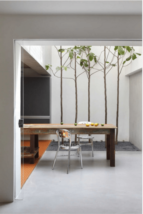 Guilherme Torres (8)