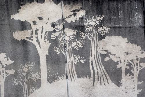 The Reverse Graffiti Project (3)