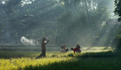 Taufik Sudjatnika (2)