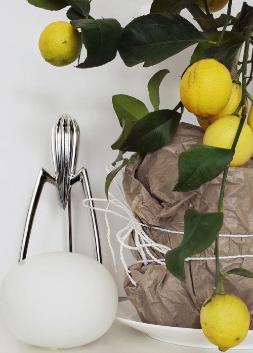 APARTAMENTO EN SUECIA (6)