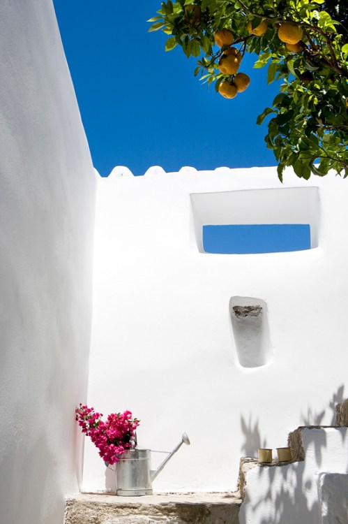 TR2 THE KOLONAKI EDITION 28