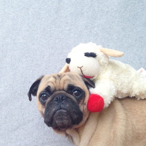 Norm - Jeremy Veach (10)