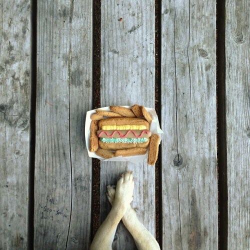 Norm - Jeremy Veach (11)