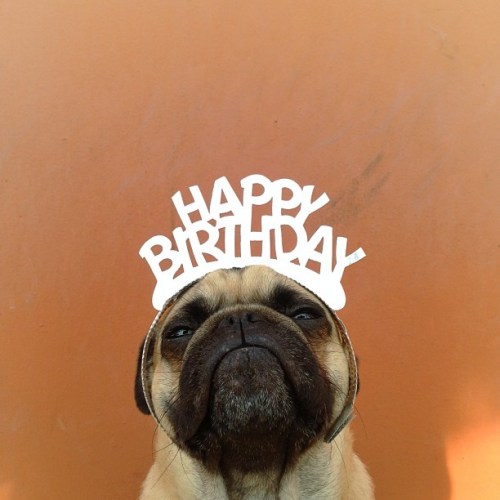 Norm - Jeremy Veach (12)