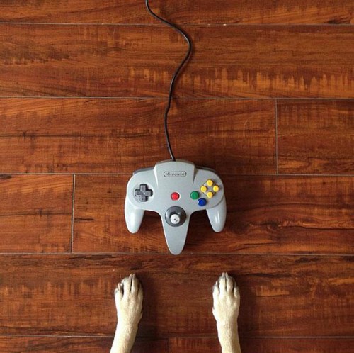 Norm - Jeremy Veach (3)