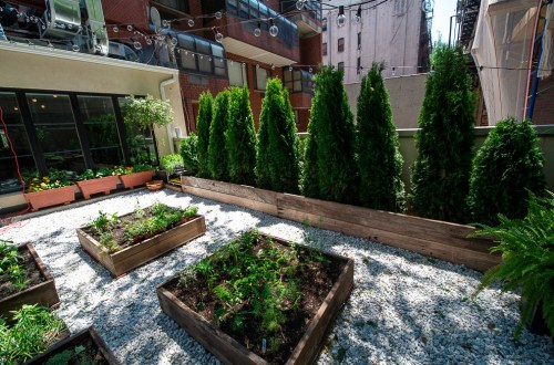 The Musket Room NY (9)