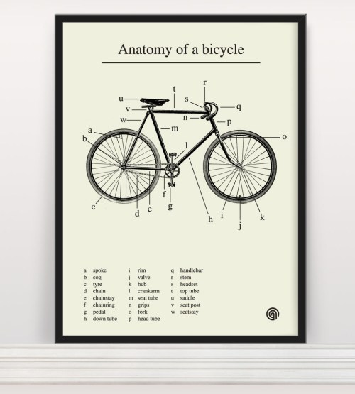 Anatomy of a Bicycle