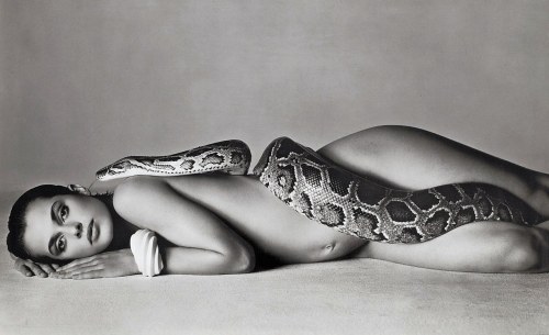 Richard Avedon (8)