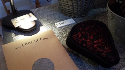 FESTIVALET B.LUMBRERAS (1)