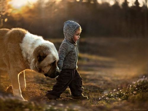 Elena Shumilova  (1)