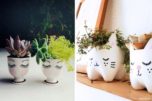 TERRAZAS - PLANTAS (2)