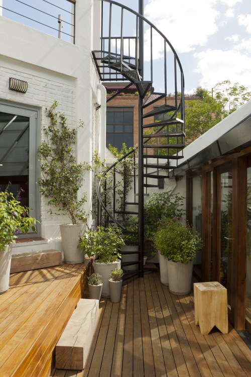 Animal Music Nidolab (10)