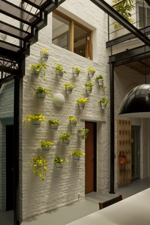 Animal Music Nidolab (6)