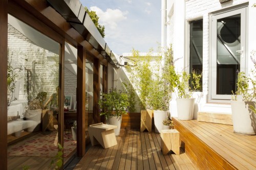 Animal Music Nidolab (8)