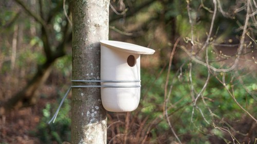 Mikko-Pygmalion Studio (5)