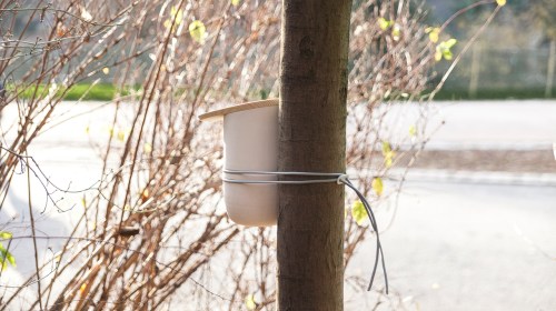 Mikko-Pygmalion Studio (6)