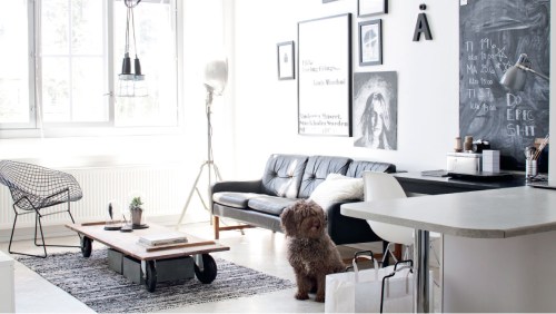 FINLANDIA - FEMIN (1)