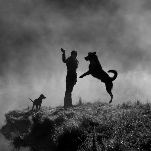 Sebastian Łuczywo (9)