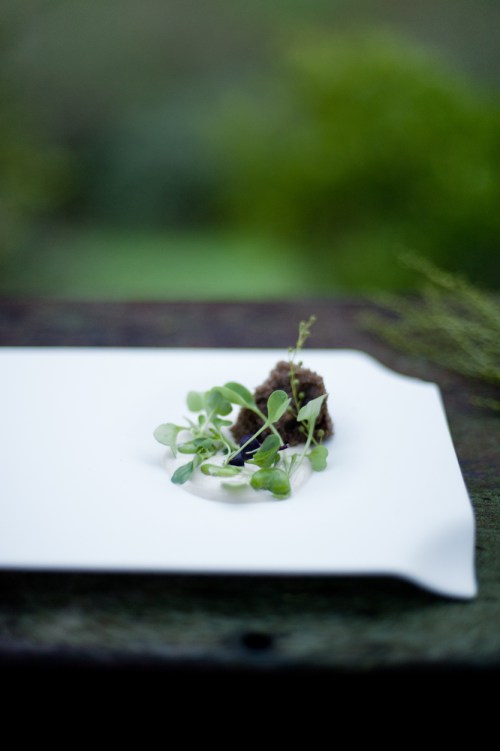 Ana Roquero Cookplay Jomon (2)