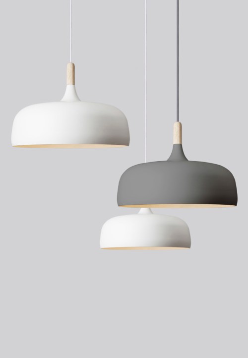 Acorn grey cactus - Med res Photo Colin Eick 02