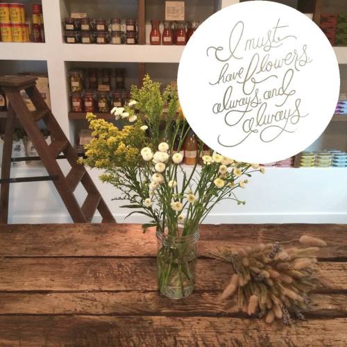 Folks And Sparrows (2)