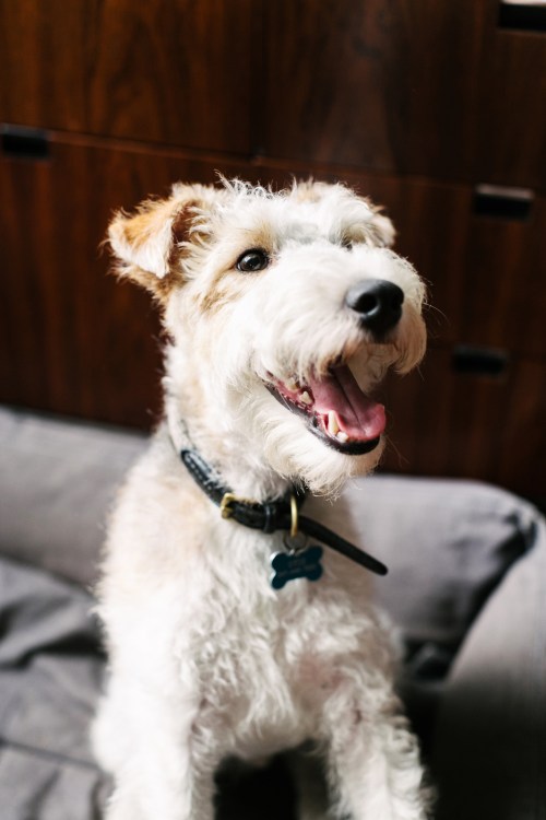 Apartamento en Brooklyn (10)