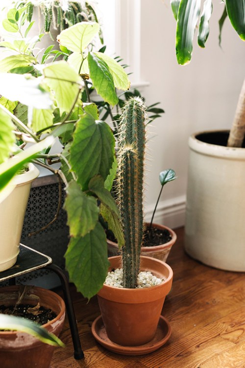 Apartamento en Brooklyn (4)