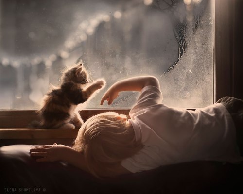 Elena Shumilova (2)