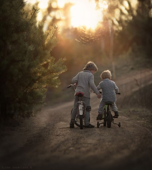 Elena Shumilova (7)