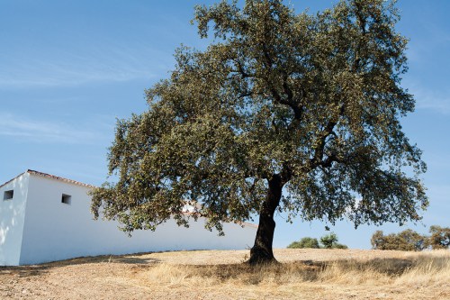 FOTOS RICARDO LABOUGLE (3)