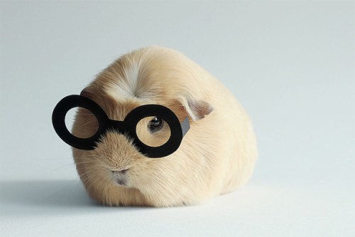 Megan van der Elst  (6)