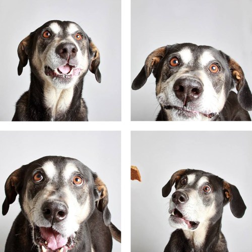 Guinnevere Shuster (1)