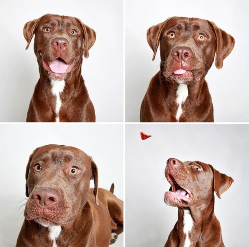 Guinnevere Shuster (9)