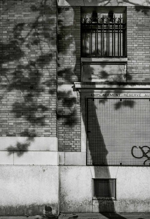 Paris Tree Shadows by Michael Wolf (1)