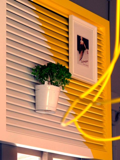 EL CLANDESTÍ - BLANCO AZABACHE (1)