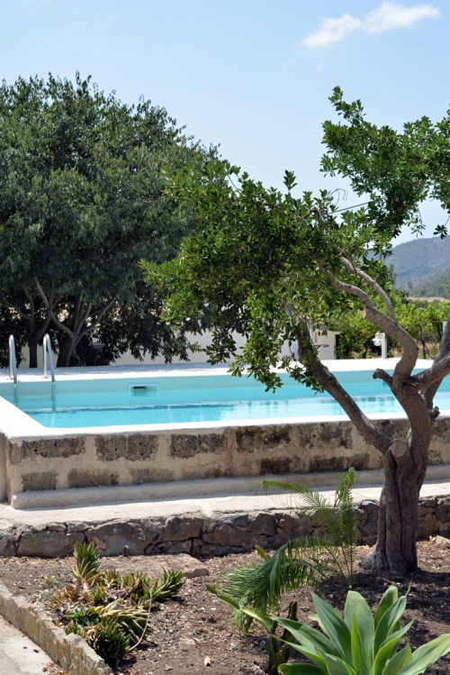 Es Rieral - EXTERIOR DÍA (3)