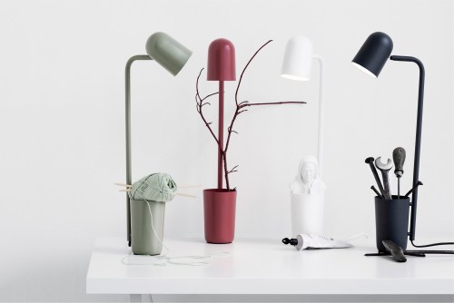 Buddy - Northern Lighting - ChrisTonnesen (3)