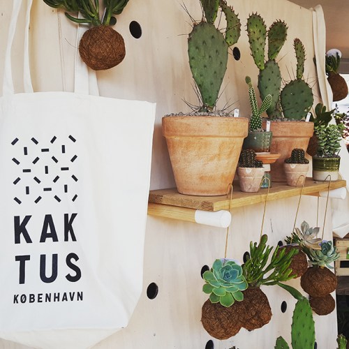 Torvehallerne - Begoña Lumbreras (6)