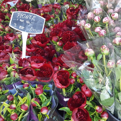 Torvehallerne - Begoña Lumbreras (7)