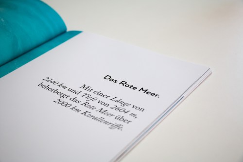 Hendrik Hohenstein (12)