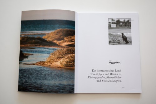 Hendrik Hohenstein (7)