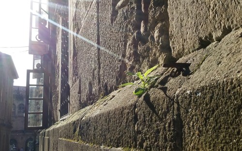 santiago-begona-lumbreras-2